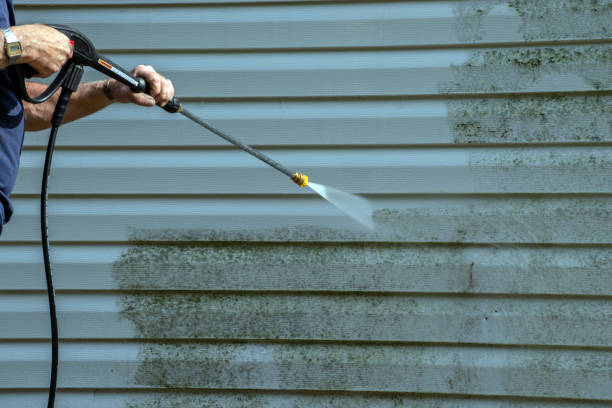 Best Solar Panel Cleaning  in Bronte, TX