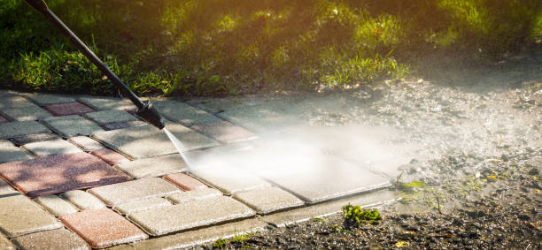 Animal Enclosure Cleaning in Bronte, TX